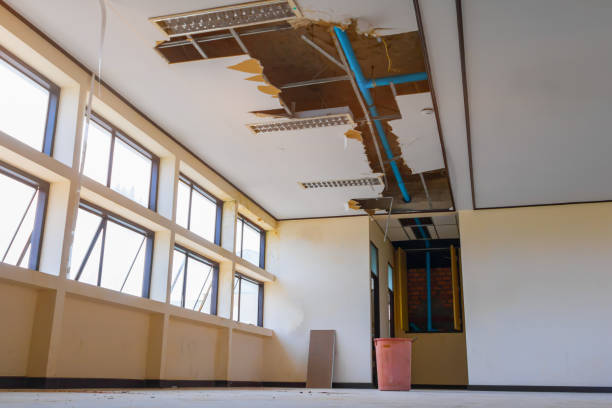 Reliable KY Water damage restoration Solutions