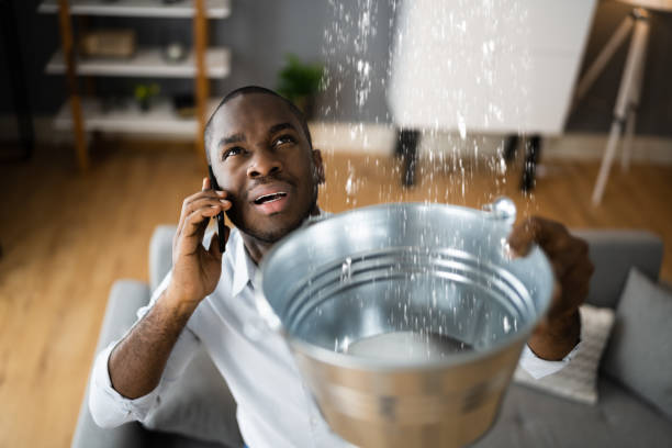 Water damage restoration mold remediation in KY