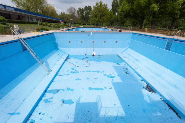 Best Water damage mitigation services  in Morgantown, KY