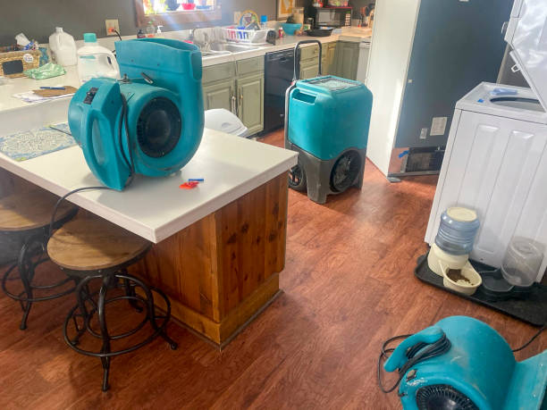 Best Residential water damage restoration  in Morgantown, KY