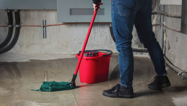 Best Fire Damage Restoration  in Morgantown, KY
