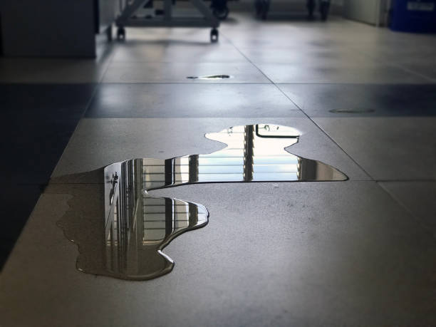 Best 24/7 water damage repair  in Morgantown, KY
