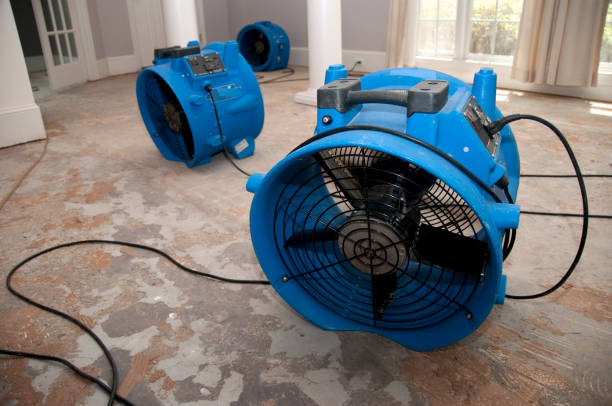 Best Water damage restoration experts  in Morgantown, KY