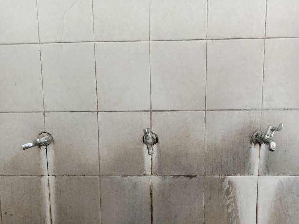 Best Water damage restoration near me  in Morgantown, KY