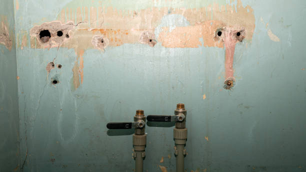 Best Flood damage cleanup  in Morgantown, KY