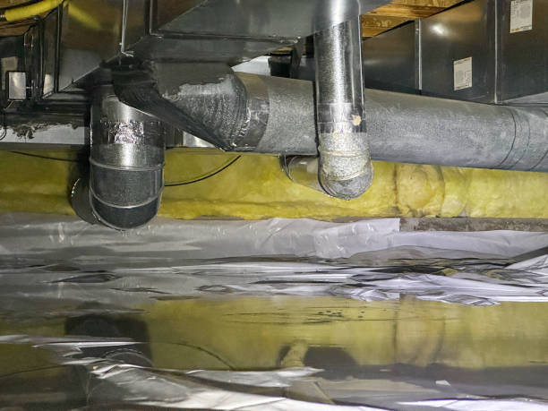 Best Carpet water damage restoration  in Morgantown, KY