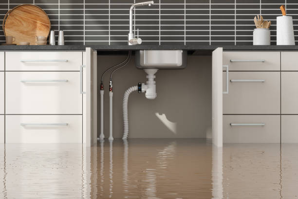 Best Flood restoration services  in Morgantown, KY