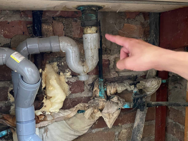 Best Carpet water damage restoration  in Morgantown, KY